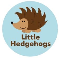 The Little Hedgehogs room focuses on early development, from potty training to social skills alongside play
